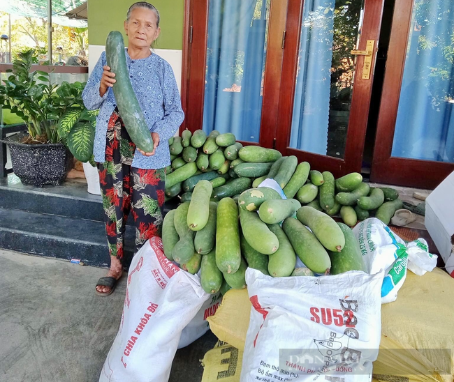 Quảng Nam: Chương trình “Nông sản yêu thương” hướng về đồng hương Điện Bàn tại TP.Hồ Chí Minh - Ảnh 5.