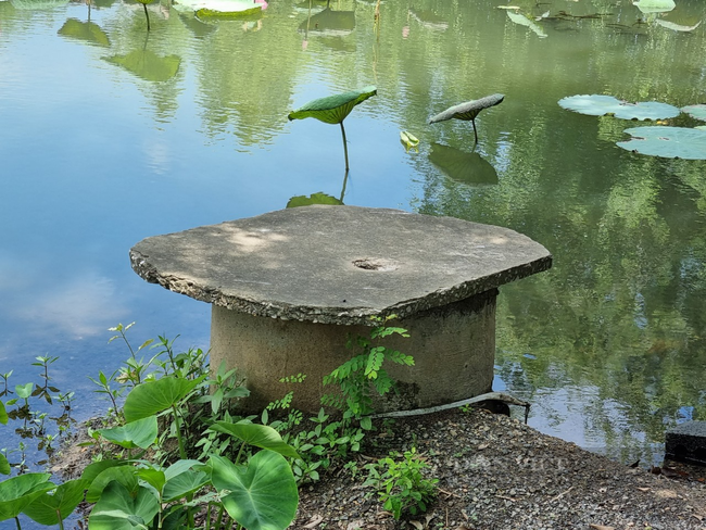 Ninh Bình: Hàng chục hộ dân làng Quang Hiển “khát nước” sạch sinh hoạt - Ảnh 5.