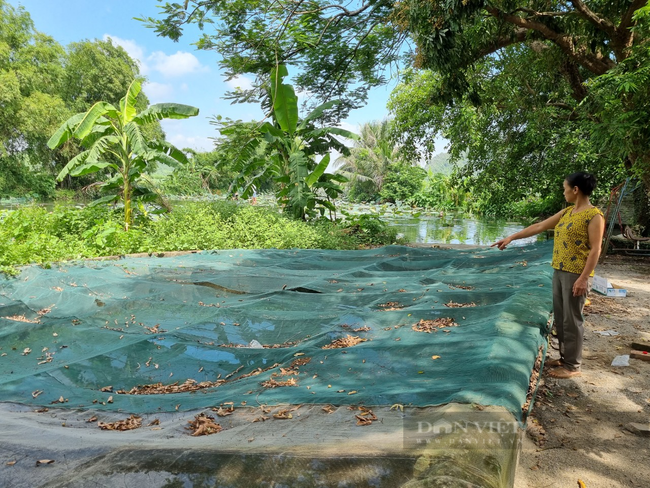 Ninh Bình: Hàng chục hộ dân làng Quang Hiển “khát nước” sạch sinh hoạt - Ảnh 6.