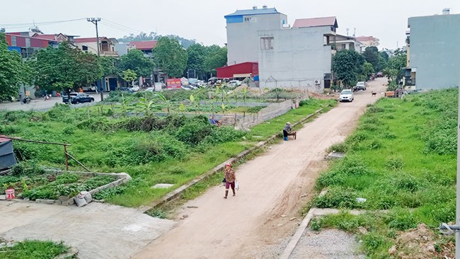 Thái Nguyên: Giao thừa hơn 7.430m2 đất &quot;dự án kiểu mẫu&quot; ở phường Túc Duyên - Ảnh 1.