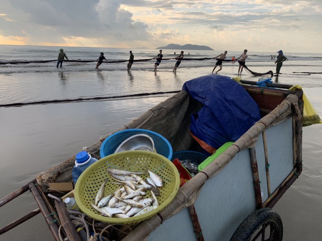 Nghệ An: Kéo lưới rồng, ngư dân Cửa Lò thu tiền triệu mỗi ngày   - Ảnh 8.