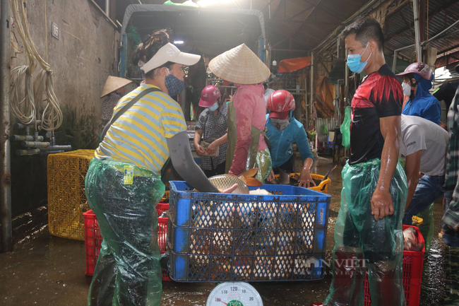 Cá đầy chợ, rau xanh đầy đồng, người Hà Nội không cần phải tích trữ thực phẩm - Ảnh 3.