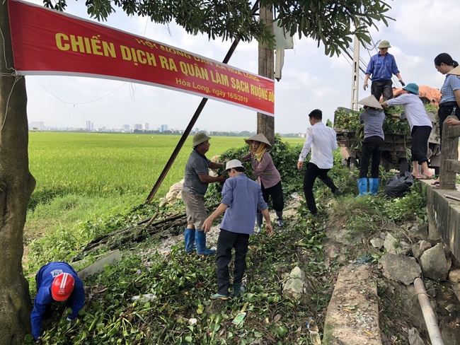 Hội vững mạnh tạo sức bật để nông dân làm kinh tế - Ảnh 1.