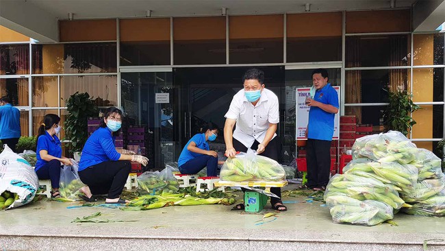 An Giang: Nông dân được hỗ trợ thu hoạch, tiêu thụ nông sản trong thời gian giãn cách xã hội theo Chỉ thị 16 - Ảnh 1.