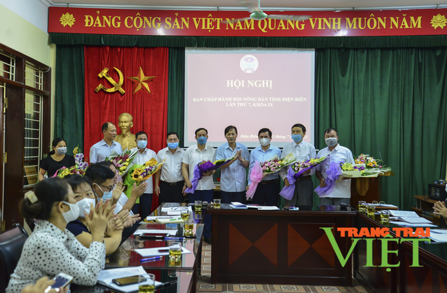 Điện Biên: Hội Nông dân tỉnh sơ kết 6 tháng đầu năm 2021 - Ảnh 3.