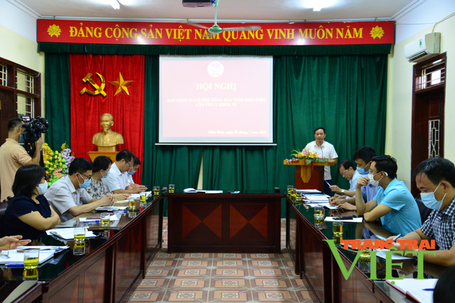 Điện Biên: Hội Nông dân tỉnh sơ kết 6 tháng đầu năm 2021 - Ảnh 4.