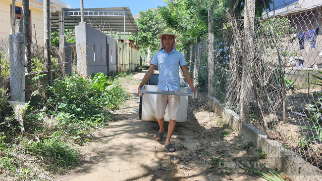 Quảng Nam: Anh nông dân trẻ kiếm hơn 200 triệu đồng nhờ khởi nghiệp trồng cỏ nuôi bò - Ảnh 4.