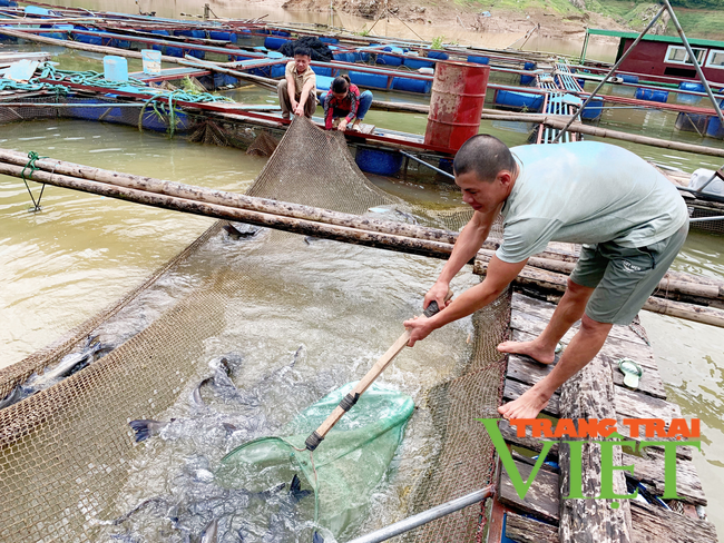 Lai Châu: Hội nông dân huyện biên giới Nậm Nhùn chung sức xây dựng nông thôn mới   - Ảnh 3.