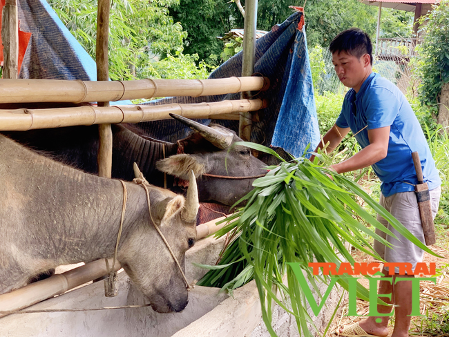 Lai Châu: Hội nông dân huyện biên giới Nậm Nhùn chung sức xây dựng nông thôn mới   - Ảnh 5.