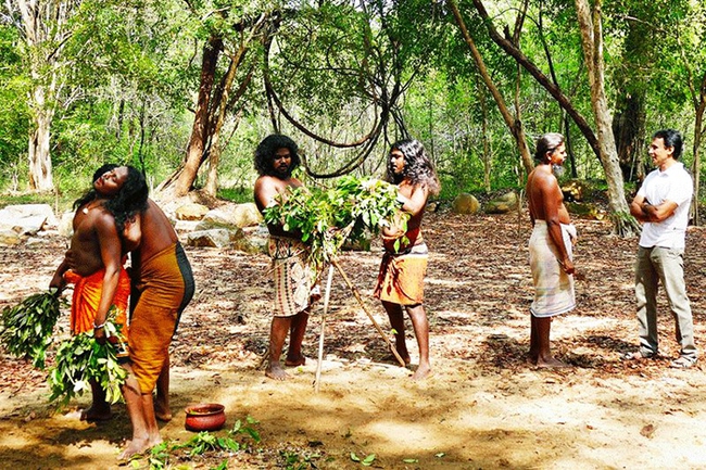 Sri Lanka: Bộ lạc “Người Rừng” nổi tiếng với tục lệ muốn lấy vợ phải vượt qua thử thách kỹ năng làm chồng - Ảnh 4.