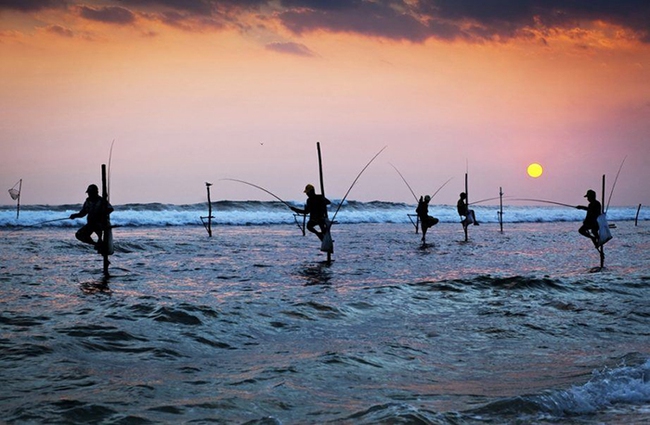 Sri Lanka: Bộ lạc “Người Rừng” nổi tiếng với tục lệ muốn lấy vợ phải vượt qua thử thách kỹ năng làm chồng - Ảnh 1.