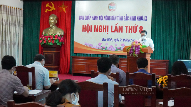 Hội Nông dân tỉnh Bắc Ninh: Thực hiện vượt nhiều chỉ tiêu, hỗ trợ nông dân nâng cao thu nhập - Ảnh 1.