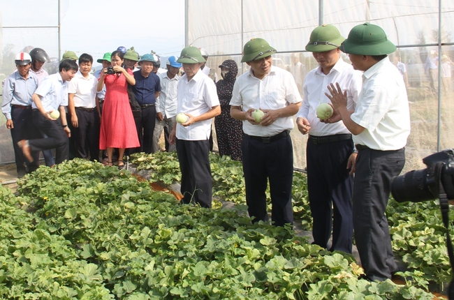Hội Nông dân Nghệ An: Hướng Hội viên tư duy thị trường hàng hóa trong sản xuất nông nghiệp     - Ảnh 3.
