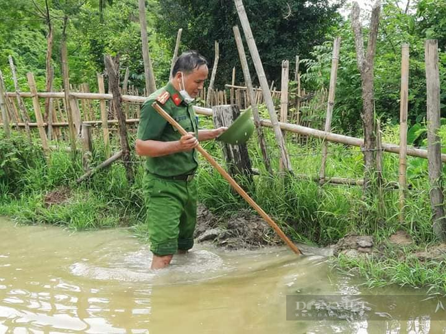 Nghệ  Ann: Các lực lượng tham gia nhổ mạ và cấy lúa giúp dân nơi tâm dịch Chằm Puông - Ảnh 4.