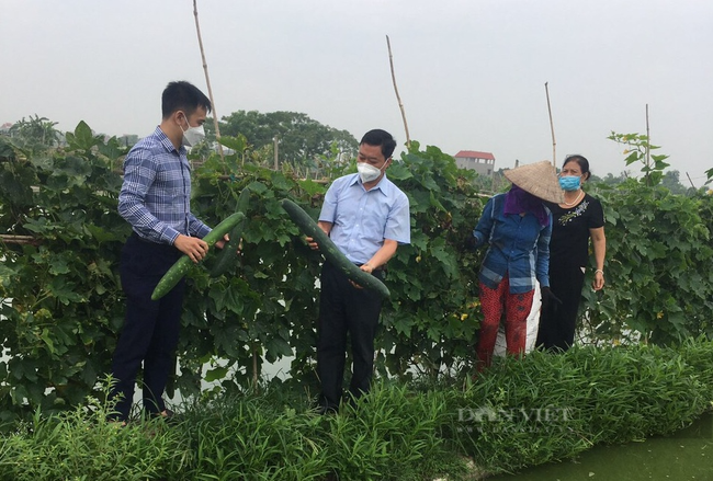 Hội Nông dân Bắc Giang ủng hộ lương thực thực phẩm cho TP Hồ Chí Minh chống dịch - Ảnh 4.