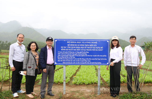 Đà Nẵng: Dấu ấn khoa học và công nghệ trong phát triển sản xuất nông nghiệp đô thị - Ảnh 1.