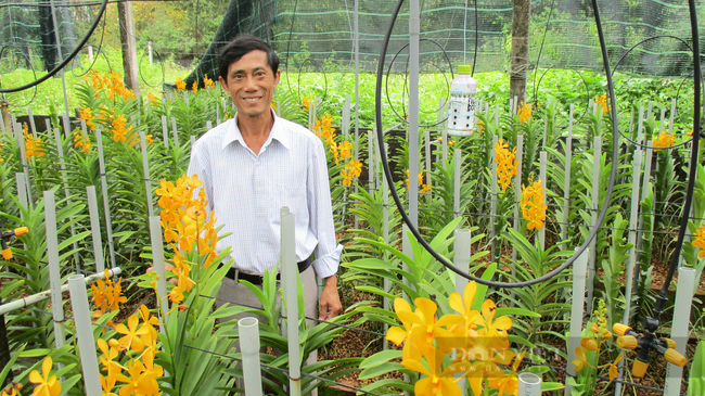 Đà Nẵng: Dấu ấn khoa học và công nghệ trong phát triển sản xuất nông nghiệp đô thị - Ảnh 8.