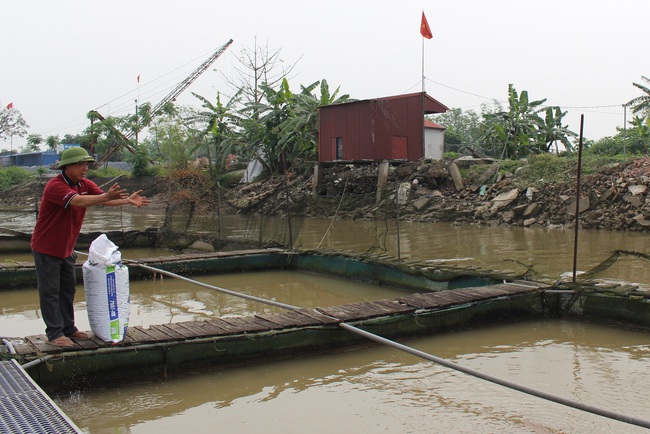 Nuôi thủy sản ở Nam Định chịu khó khăn kép: Nhiều chủ trại thua lỗ, “treo” ao - Ảnh 1.