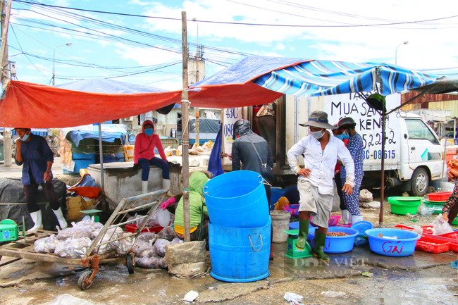 Cảng cá Thọ Quang tăng loạt ca nhiễm Covid-19, Đà Nẵng sẽ xét nghiệm diện rộng tất cả chợ trên địa bàn - Ảnh 1.