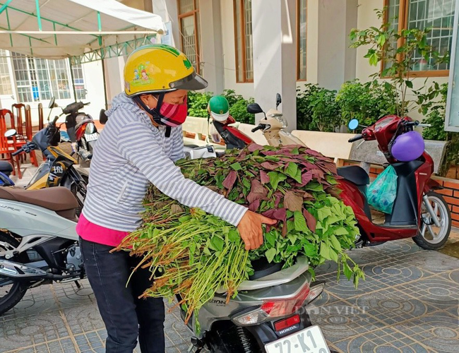 Bà Rịa – Vũng Tàu: Hội phụ nữ len lỏi khắp phố xá đi chợ giúp người dân trong đại dịch - Ảnh 5.