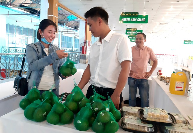 Quảng Nam: Nhân rộng mô hình trồng cam sành Trà Dương để giúp nông dân miền núi tăng thu nhập. - Ảnh 3.