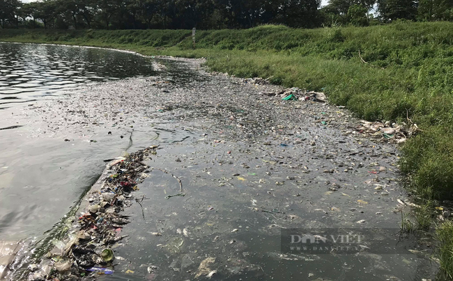 Công ty Thoát nước Hà Nội lý giải nguyên nhân cá chết hàng loạt ở hồ Yên Sở - Ảnh 1.