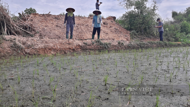 Phổ Yên - Thái Nguyên: Dân khốn khổ vì trang trại bủa vây - Ảnh 1.