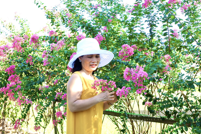 Nghe phát động xây dựng nông thôn mới vợ chồng U70 ở Quảng Bình trồng con đường hoa vạn người mê - Ảnh 6.