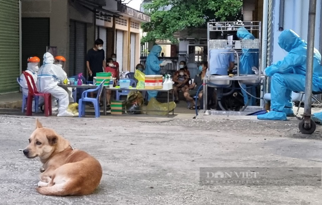 Bà Rịa – Vũng Tàu: Khổ cực, mệt mỏi cũng được, chỉ mong sớm đẩy lùi dịch Covid-19 - Ảnh 2.