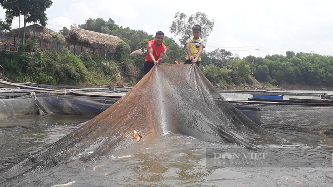 Trải qua đủ thứ nghề, 9x Thái Nguyên về quê nuôi cá kết hợp phát triển du lịch cộng đồng - Ảnh 1.