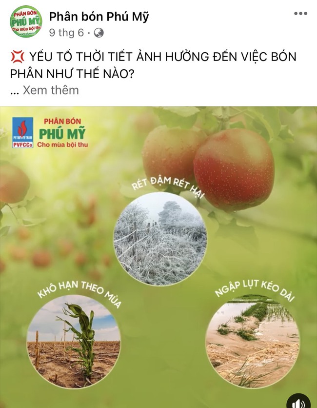 Nỗ lực và tấm lòng của người lao động PVFCCo trong đại dịch - Ảnh 2.