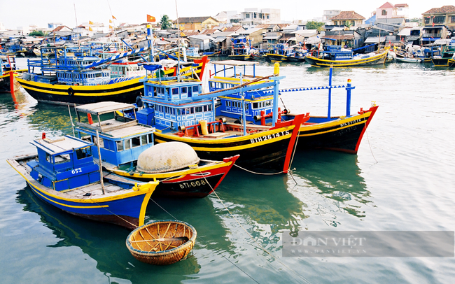 Cảng cá Phan Thiết ở TP. Phan Thiết, Bình Thuận. Ảnh: Triphunter
