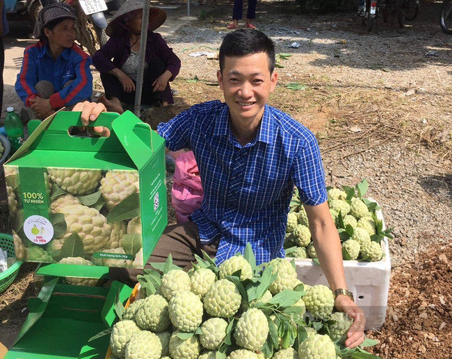 Thái Nguyên: Tái cơ cấu nông nghiệp đóng vai trò quan trọng trong xây dựng nông thôn mới - Ảnh 4.