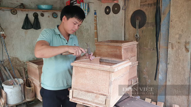 Thanh Hóa: Cử nhân bỏ lương 20 triệu về con chịu khó, thu nửa tỷ đồng mỗi năm - Ảnh 5.