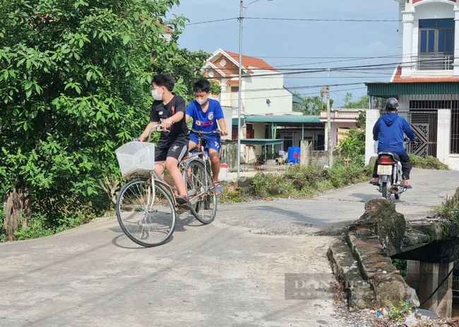 Ảnh, clip những cây cầu “hết đát” ở Ninh Bình - Ảnh 2.