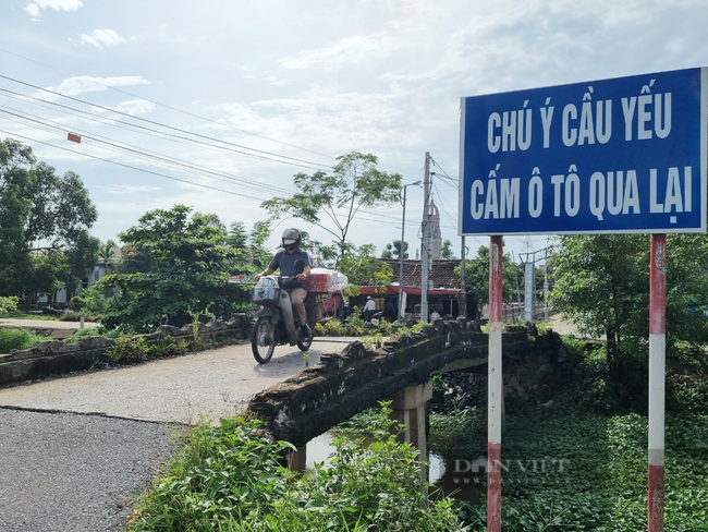 Ảnh, clip những cây cầu “hết đát” ở Ninh Bình - Ảnh 6.