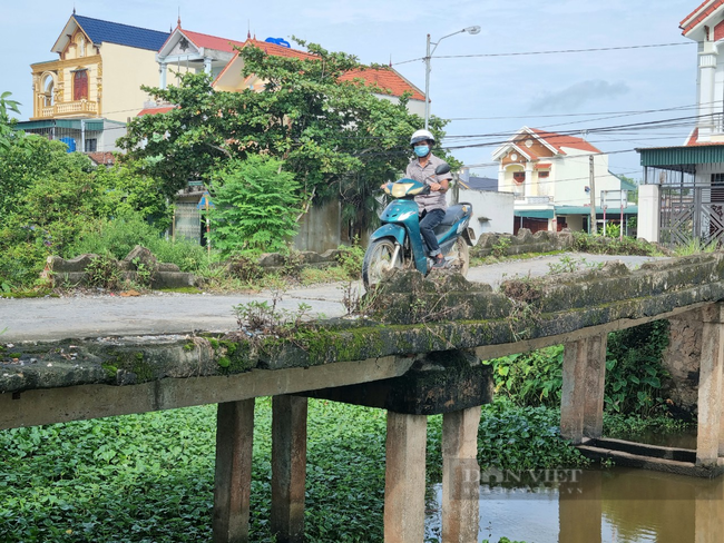 Ảnh, clip những cây cầu “hết đát” ở Ninh Bình - Ảnh 7.