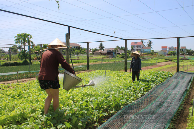 Quảng Nam: Du lịch xanh “làn gió mới” thúc đẩy phát triển kinh tế   - Ảnh 2.