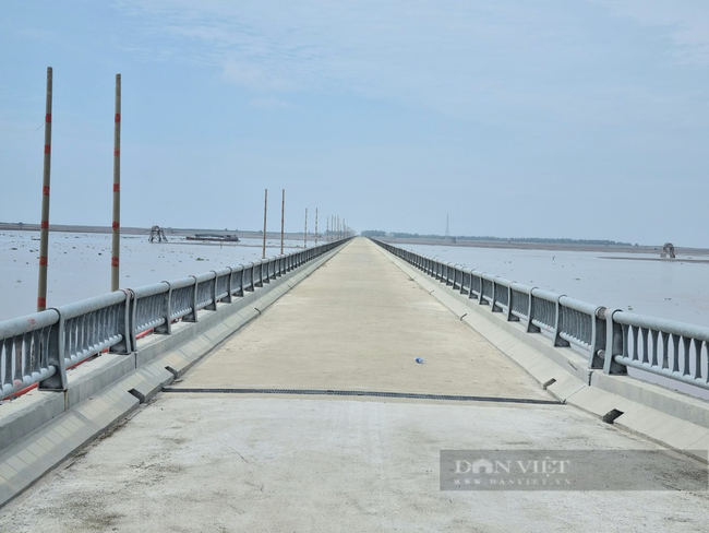Ảnh, clip: Cận cảnh con đường, cầu “vượt biển” đẹp nhất ở Ninh Bình - Ảnh 2.