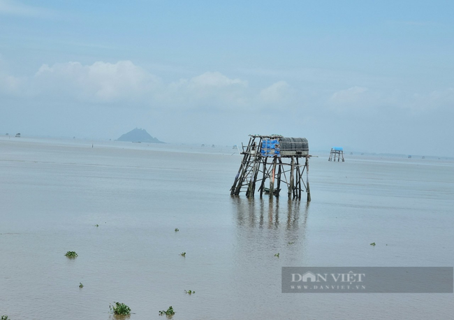 Ảnh, clip: Cận cảnh con đường, cầu “vượt biển” đẹp nhất ở Ninh Bình - Ảnh 3.