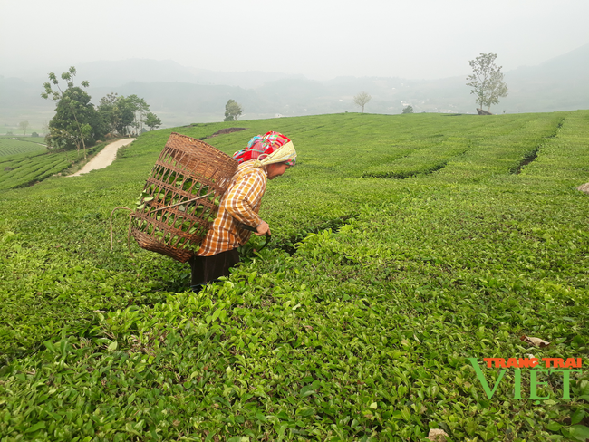 Lai Châu thực hiện tốt “mục tiêu kép” vừa phòng chống dịch,vừa phát triển kinh tế - Ảnh 3.