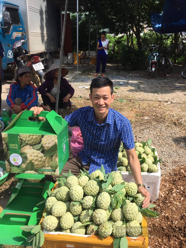 Thái Nguyên: Chung tay cùng nông dân tiêu thụ na, giá ổn định, không lo thương lái ép giá - Ảnh 5.