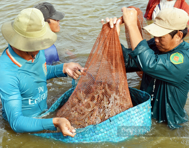 Kết nối sản xuất - tiêu thụ thủy sản 4 tỉnh ĐBSCL - Ảnh 1.