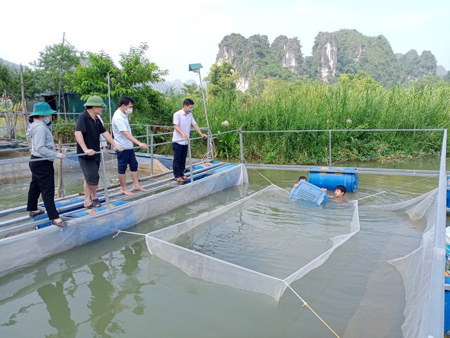 Nuôi cá nheo Mỹ trong lồng bè ở Lạng Sơn: Lợi gấp 3 - 4 lần nuôi cá truyền thống - Ảnh 1.