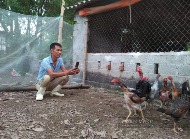 Đưa nông sản lên sàn - sáng kiến vượt khó Covid-19 (bài 2): Nông dân xuất sắc nổi danh trên “chợ ảo”  - Ảnh 1.