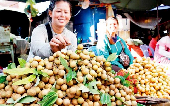 Một thương nhân bày bán trái nhãn tại Phnom Penh, Campuchia. (Ảnh: Phnom Penh Post)