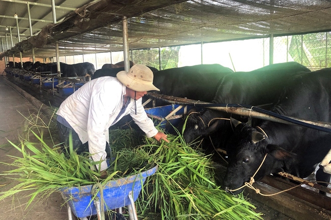 Giàu lên từ vốn hội, sẻ chia với nhiều người - Ảnh 1.