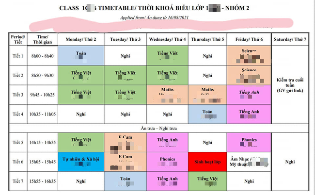 Vừa nhận thông báo tựu trường học online, nhiều phụ huynh có con vào lớp 1 đã quyết định... bất ngờ - Ảnh 1.