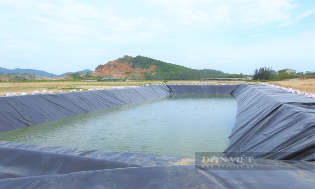 Cậu bé chăn vịt đến ông chủ trang trại “sở hữu” hàng tỉ đồng - Ảnh 8.