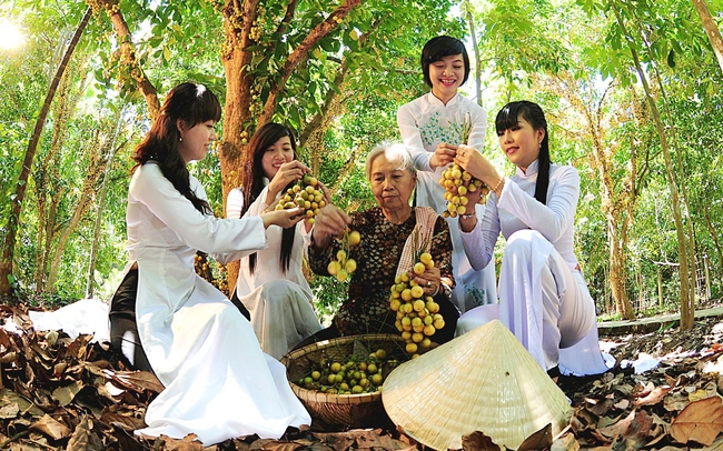 Những vườn cây ăn trái ở Thuận An, Bình Dương luôn quyến rũ du khách. Ảnh: Phương Lê